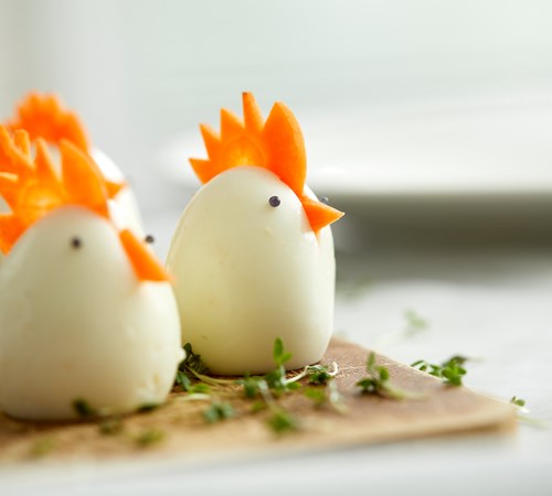 Søde kyllinger af æg