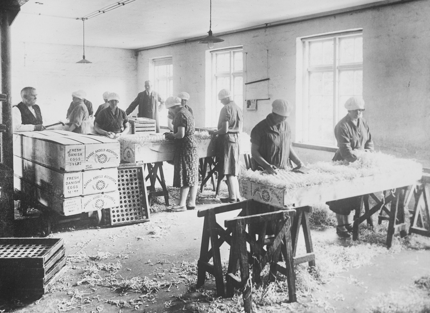 ANDELSSELSKAB SIDEN 1895