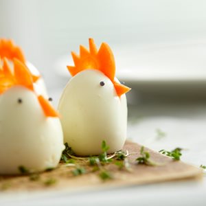 Søde kyllinger af æg