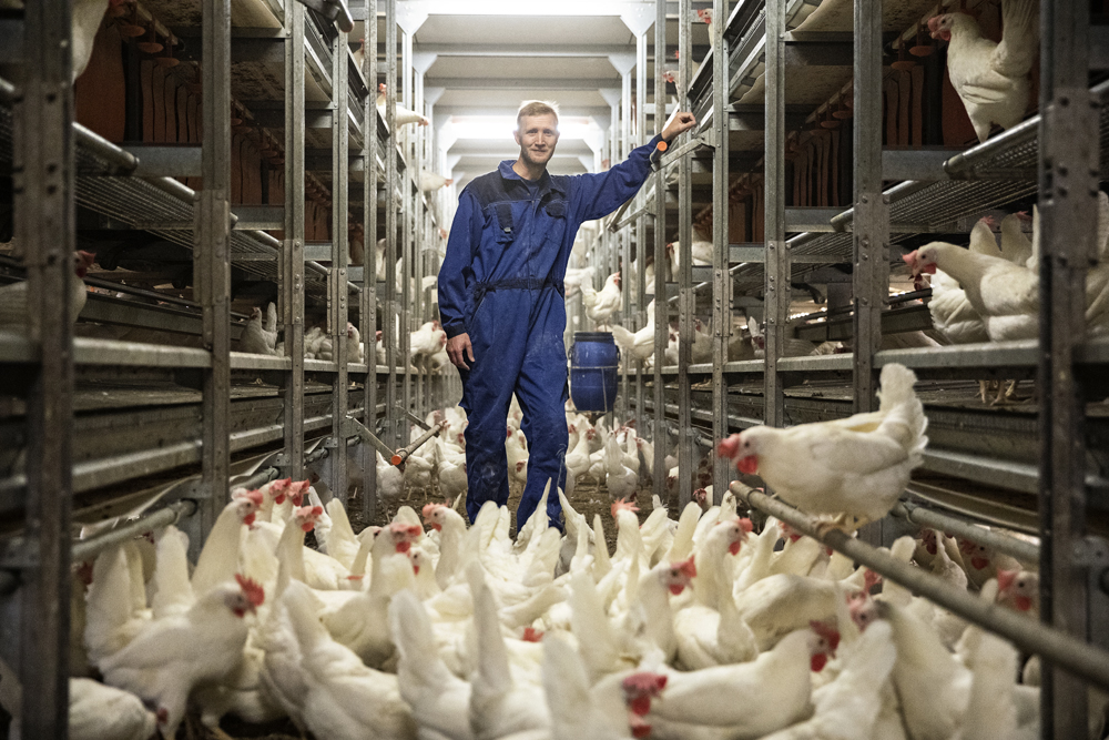 Claus Kragh (017166)