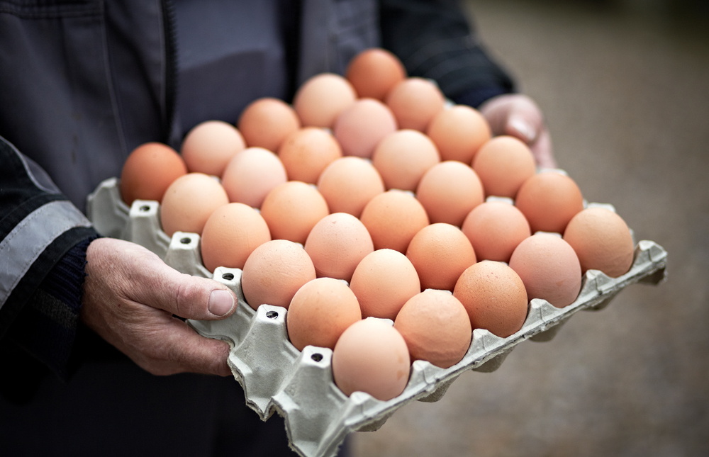 FØDEVARESIKKERHED FRA JORD TIL BORD